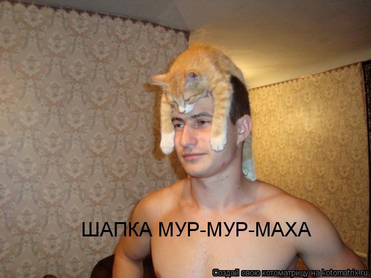 ШАПКА МУР-МУР-МАХА... Котоматрица: ШАПКА МУР-МУР-МАХА