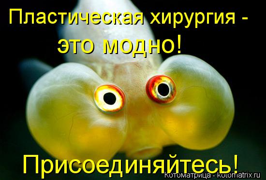 Пластическая хирургия - это модно! Присоединяйтесь!... Котоматрица: Пластическая хирургия - это модно! Присоединяйтесь!