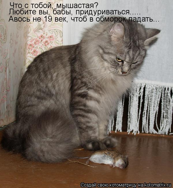 Что с тобой, мышастая? Любите вы, бабы, придуриваться..... Авось не 19 век, чтоб в обморок падать...... Котоматрица: Что с тобой, мышастая? Любите вы, бабы, придуриваться..... Авось не 19 век, чтоб в обморок падать...