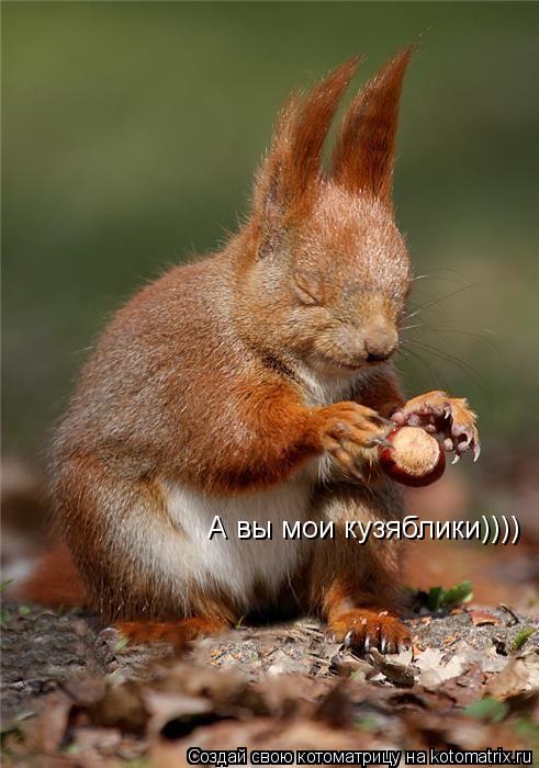 А вы мои кузяблики))))... Котоматрица: А вы мои кузяблики))))