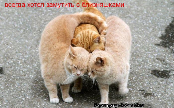 всегда хотел замутить с близняшками...... Котоматрица: всегда хотел замутить с близняшками...