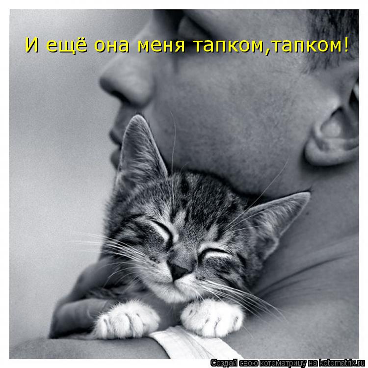 И ещё она меня тапком,тапком!... Котоматрица: И ещё она меня тапком,тапком!
