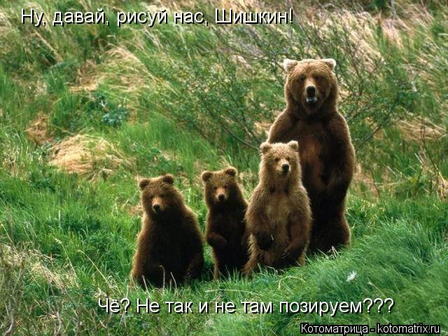 Ну, давай, рисуй нас, Шишкин! Чё? Не так и не там позируем???... Котоматрица: Ну, давай, рисуй нас, Шишкин! Чё? Не так и не там позируем???