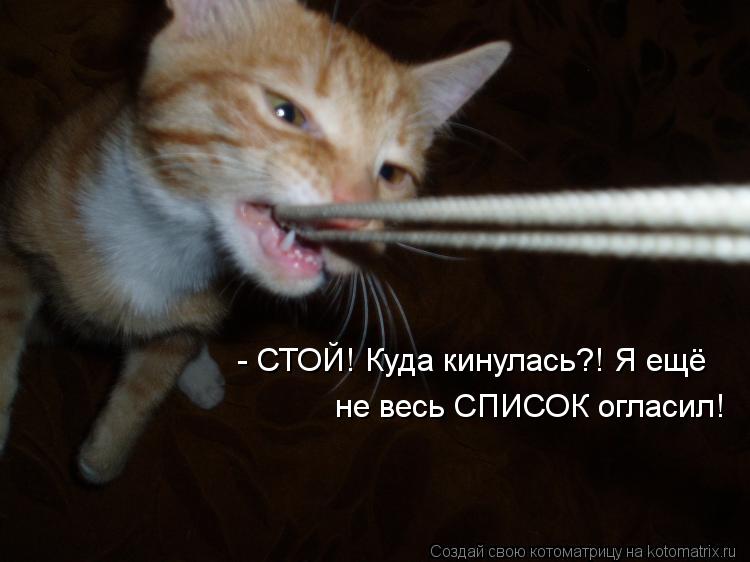 - СТОЙ! Куда кинулась?! Я ещё не весь СПИСОК огласил!... Котоматрица: - СТОЙ! Куда кинулась?! Я ещё не весь СПИСОК огласил!