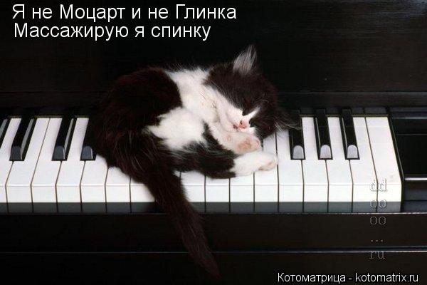 Я не Моцарт и не Глинка Массажирую я спинку... Котоматрица: Я не Моцарт и не Глинка Массажирую я спинку