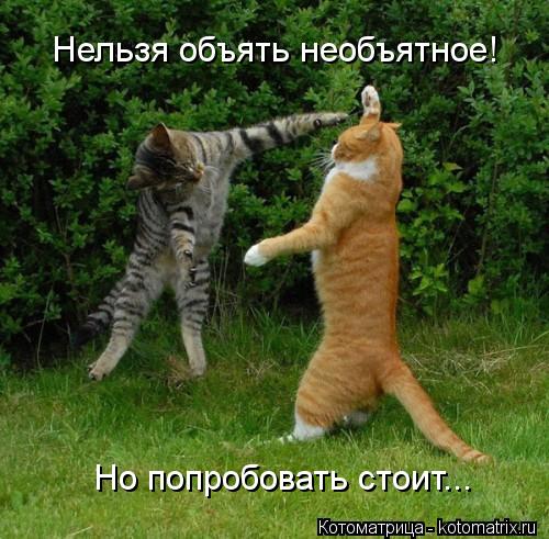 Нельзя объять необъятное! Но попробовать стоит...... Котоматрица: Нельзя объять необъятное! Но попробовать стоит...
