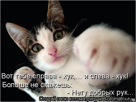 Вот тебе справа - хук,... и слева - хук! Больше не скажешь: - Нету добрых рук...... Котоматрица: Вот тебе справа - хук,... и слева - хук! Больше не скажешь: - Нету добрых рук...