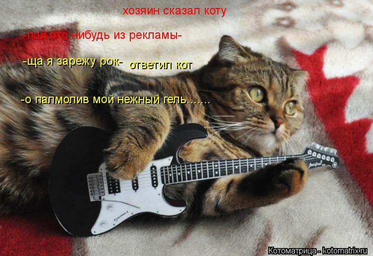 хозяин сказал коту -пой что нибудь из рекламы- -ща я зарежу рок- ответил кот -о палмолив мой нежный г... Котоматрица: хозяин сказал коту -пой что нибудь из рекламы- -ща я зарежу рок- ответил кот -о палмолив мой нежный гель.......
