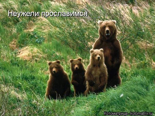 Неужели прославимся... Котоматрица: Неужели прославимся