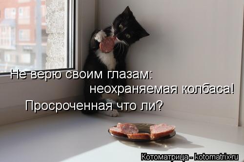 Не верю своим глазам: неохраняемая колбаса! Просроченная что ли?... Котоматрица: Не верю своим глазам: неохраняемая колбаса! Просроченная что ли?
