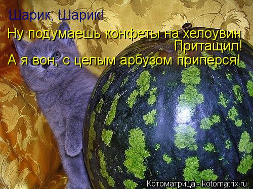 Шарик, Шарик! Ну подумаешь конфеты на хелоувин Притащил! А я вон, с целым арбузом припёрся!... Котоматрица: Шарик, Шарик! Ну подумаешь конфеты на хелоувин Притащил! А я вон, с целым арбузом припёрся!