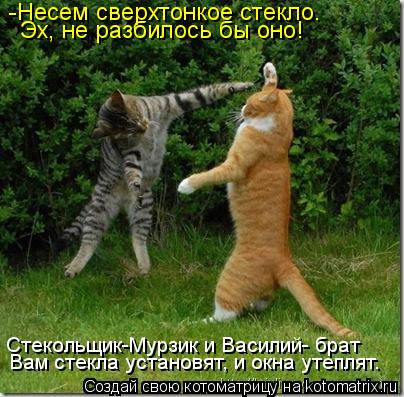 -Несем сверхтонкое стекло. Эх, не разбилось бы оно! Стекольщик-Мурзик и Василий- брат Вам стекла уста... Котоматрица: -Несем сверхтонкое стекло. Эх, не разбилось бы оно! Стекольщик-Мурзик и Василий- брат Вам стекла установят, и окна утеплят.
