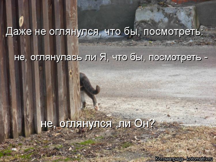 Даже не оглянулся, что бы, посмотреть: не, оглянулась ли Я, что бы, посмотреть - не, оглянулся ,ли Он... Котоматрица: Даже не оглянулся, что бы, посмотреть: не, оглянулась ли Я, что бы, посмотреть - не, оглянулся ,ли Он?