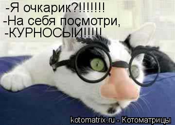 -Я очкарик?!!!!!!! -На себя посмотри, -КУРНОСЫЙ!!!!!... Котоматрица: -Я очкарик?!!!!!!! -На себя посмотри, -КУРНОСЫЙ!!!!!