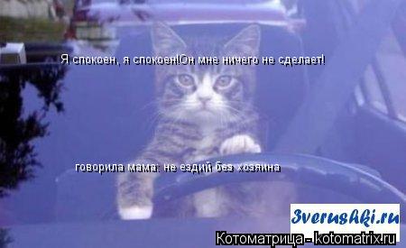 Я спокоен, я спокоен! Я спокоен, я спокоен!Он мне ничего не сделает! говорила мама: не ездий без хозя... Котоматрица: Я спокоен, я спокоен! Я спокоен, я спокоен!Он мне ничего не сделает! говорила мама: не ездий без хозяина