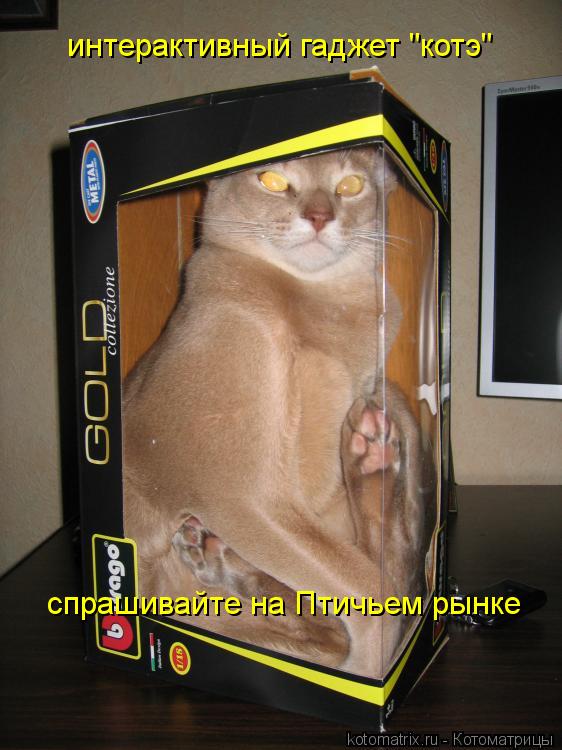 интерактивный гаджет "котэ" спрашивайте на Птичьем рынке... Котоматрица: интерактивный гаджет "котэ" спрашивайте на Птичьем рынке