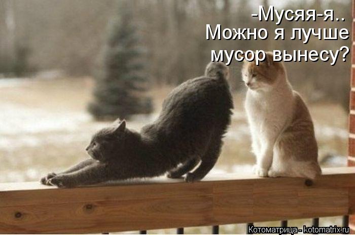 -Мусяя-я.. Можно я лучше мусор вынесу?... Котоматрица: -Мусяя-я.. Можно я лучше мусор вынесу?
