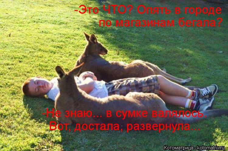 -Это ЧТО? Опять в городе по магазинам бегала? -Не знаю... в сумке валялось. Вот, достала, развернула... Котоматрица: -Это ЧТО? Опять в городе по магазинам бегала? -Не знаю... в сумке валялось. Вот, достала, развернула...