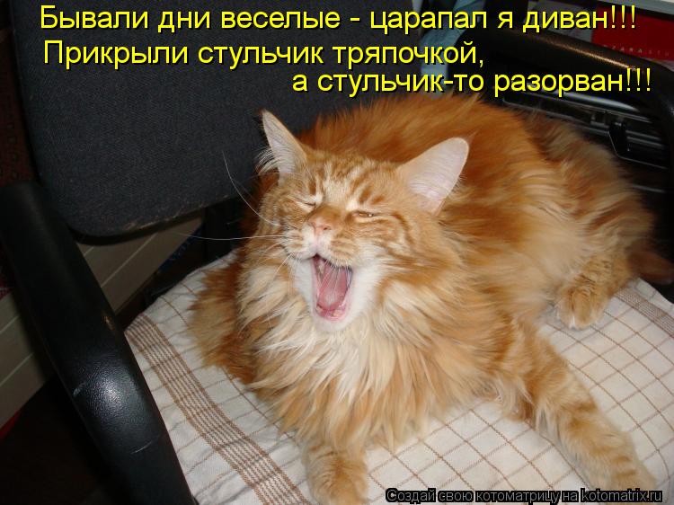 Бывали дни веселые - царапал я диван!!! Прикрыли стульчик тряпочкой, а стульчик-то разорван!!!... Котоматрица: Бывали дни веселые - царапал я диван!!! Прикрыли стульчик тряпочкой, а стульчик-то разорван!!!