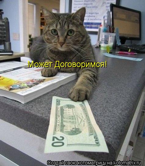 Может Договоримся!... Котоматрица: Может Договоримся!