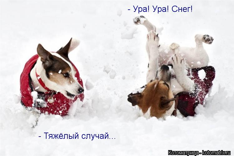 - Ура! Ура! Снег! - Тяжёлый случай...... Котоматрица: - Ура! Ура! Снег! - Тяжёлый случай...