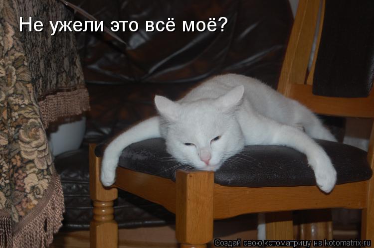 Не ужели это всё моё?... Котоматрица: Не ужели это всё моё?