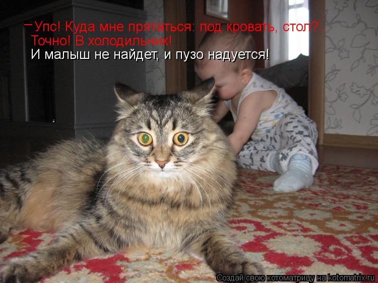Упс! Куда мне прятаться: под кровать, стол?.. Точно! В холодильник! И малыш не найдет, и пузо надуетс... Котоматрица: Упс! Куда мне прятаться: под кровать, стол?.. Точно! В холодильник! И малыш не найдет, и пузо надуется! _