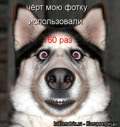 чёрт мою фотку использовали 160 раз... Котоматрица: чёрт мою фотку использовали 160 раз