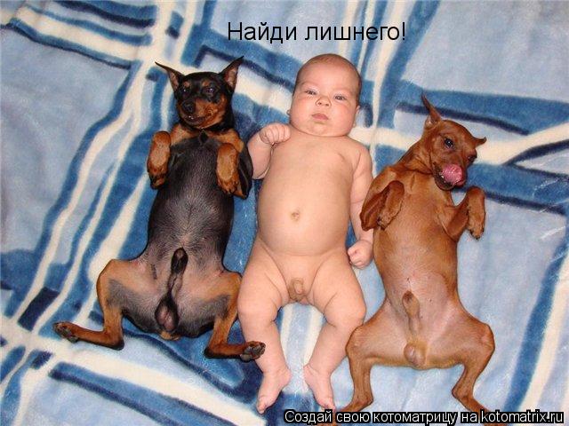 Найди лишнего!... Котоматрица: Найди лишнего!