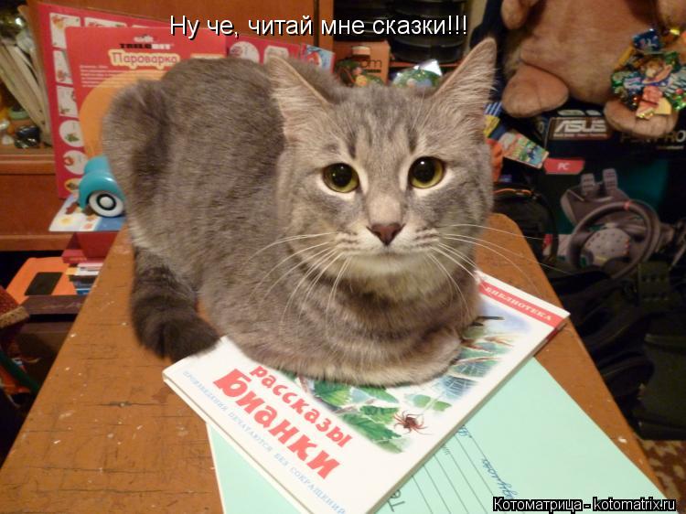 Ну че, читай мне сказки!!!... Котоматрица: Ну че, читай мне сказки!!!