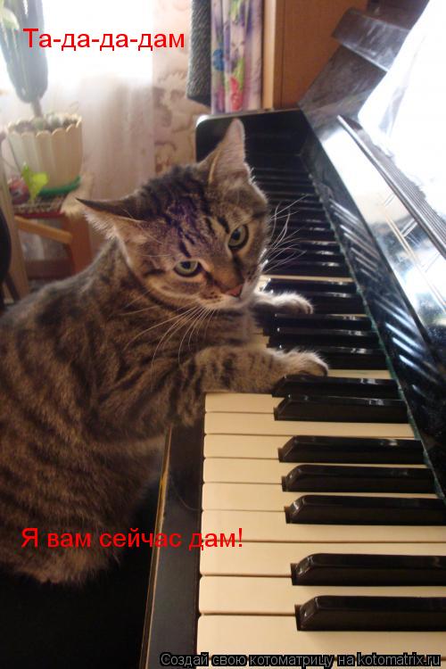 Та-да-да-дам Я вам сейчас дам!... Котоматрица: Та-да-да-дам Я вам сейчас дам!