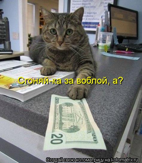 Сгоняй-ка за воблой, а?... Котоматрица: Сгоняй-ка за воблой, а?