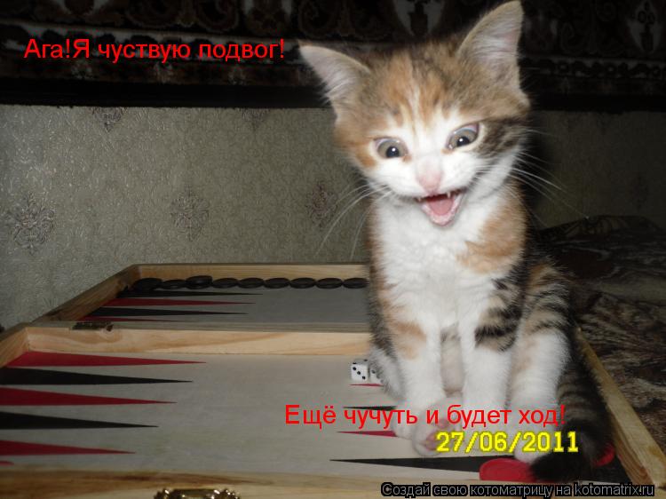Ага!Я чуствую подвог! Ещё чучуть и будет ход!... Котоматрица: Ага!Я чуствую подвог! Ещё чучуть и будет ход!