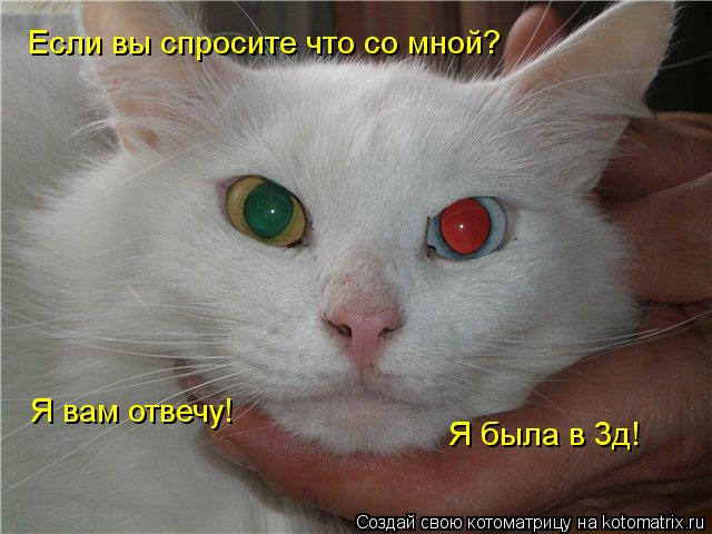 Если вы спросите что со мной? Я вам отвечу! Я была в 3д!... Котоматрица: Если вы спросите что со мной? Я вам отвечу! Я была в 3д!