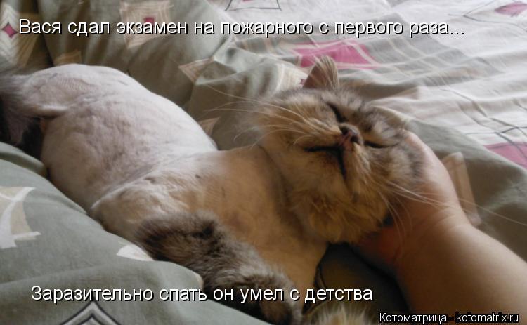 Вася сдал экзамен на пожарного с первого раза... Заразительно спать он умел с детства... Котоматрица: Вася сдал экзамен на пожарного с первого раза... Заразительно спать он умел с детства
