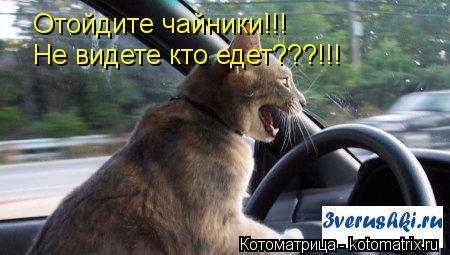 Отойдите чайники!!! Не видете кто едет???!!!... Котоматрица: Отойдите чайники!!! Не видете кто едет???!!!