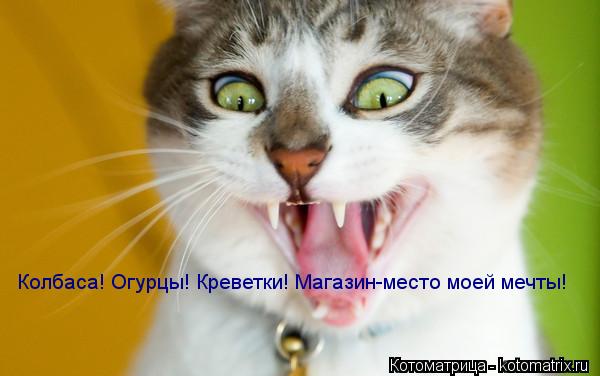 Колбаса! Огурцы! Креветки! Магазин-место моей мечты!... Котоматрица: Колбаса! Огурцы! Креветки! Магазин-место моей мечты!