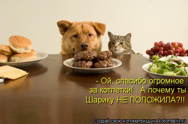 - Ой, спасибо огромное за котлетки!.. А почему ты Шарику НЕ ПОЛОЖИЛА?!!... Котоматрица: - Ой, спасибо огромное за котлетки!.. А почему ты Шарику НЕ ПОЛОЖИЛА?!!
