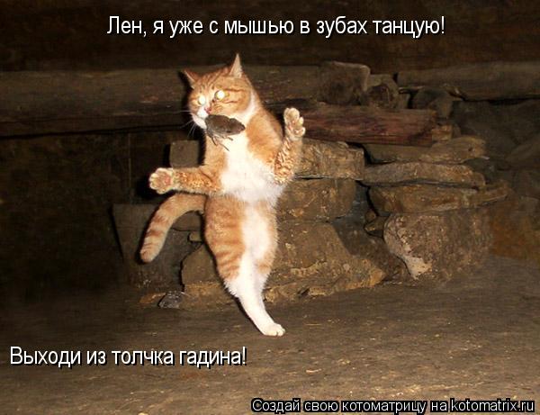 Лен, я уже с мышью в зубах танцую! Выходи из толчка гадина!... Котоматрица: Лен, я уже с мышью в зубах танцую! Выходи из толчка гадина!