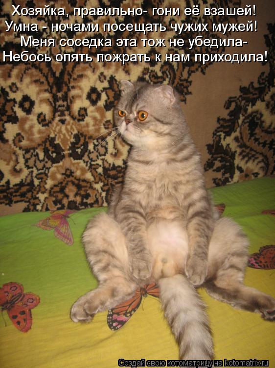 Хозяйка, правильно- гони её взашей! Умна - ночами посещать чужих мужей! Меня соседка эта тож не убеди... Котоматрица: Хозяйка, правильно- гони её взашей! Умна - ночами посещать чужих мужей! Меня соседка эта тож не убедила- Небось опять пожрать к нам приходила!