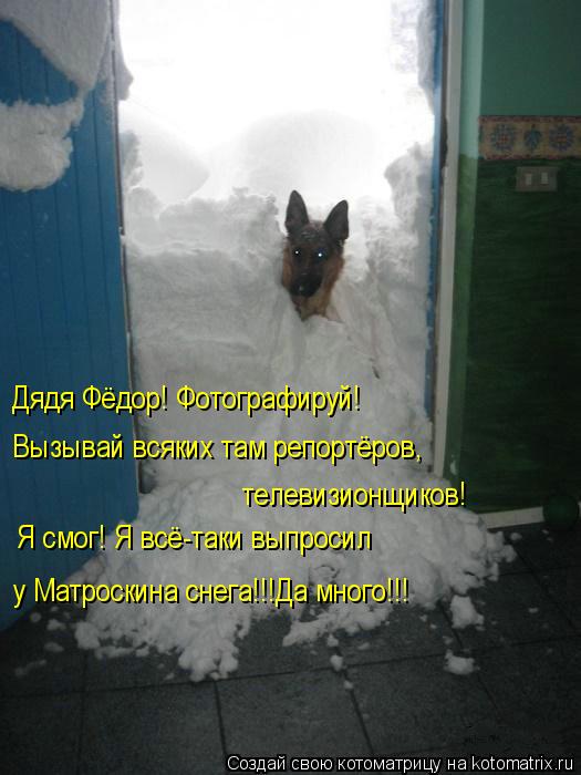 Дядя Фёдор! Фотографируй! Вызывай всяких там репортёров, телевизионщиков! Я смог! Я всё-таки выпро... Котоматрица: Дядя Фёдор! Фотографируй! Вызывай всяких там репортёров, телевизионщиков! Я смог! Я всё-таки выпросил у Матроскина снега!!!Да много!!!