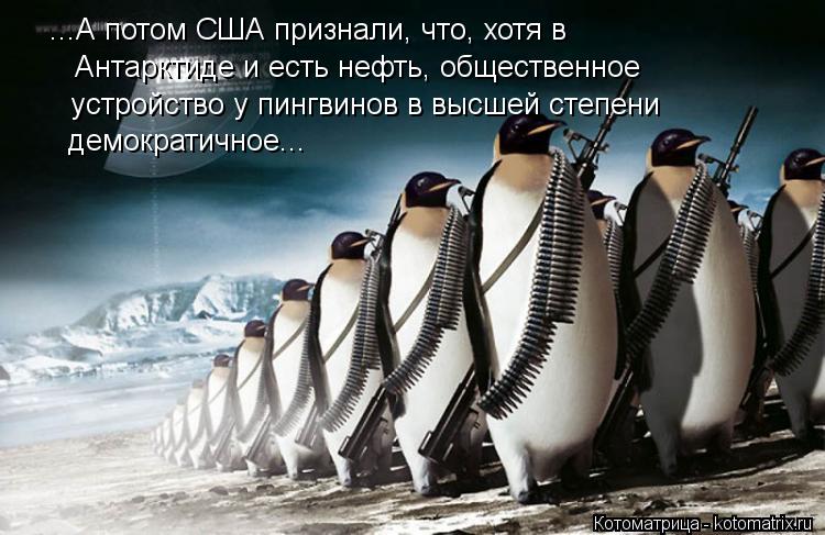 Котоматрица: ...А потом США признали, что, хотя в  Антарктиде и есть нефть, общественное  устройство у пингвинов в высшей степени демократичное...