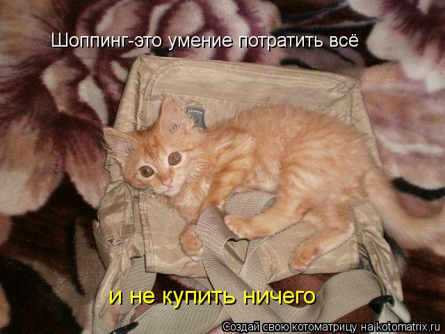 Шоппинг-это умение потратить всё и не купить ничего... Котоматрица: Шоппинг-это умение потратить всё и не купить ничего