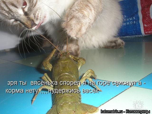зря ты вясенька спорел я на горе свиснул а - корма нету ,,,,нудержись васёк... Котоматрица: зря ты вясенька спорел я на горе свиснул а - корма нету ,,,,нудержись васёк
