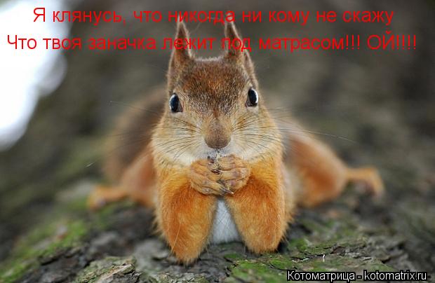 Я клянусь, что никогда ни кому не скажу Что твоя заначка лежит под матрасом!!! ОЙ!!!!... Котоматрица: Я клянусь, что никогда ни кому не скажу Что твоя заначка лежит под матрасом!!! ОЙ!!!!