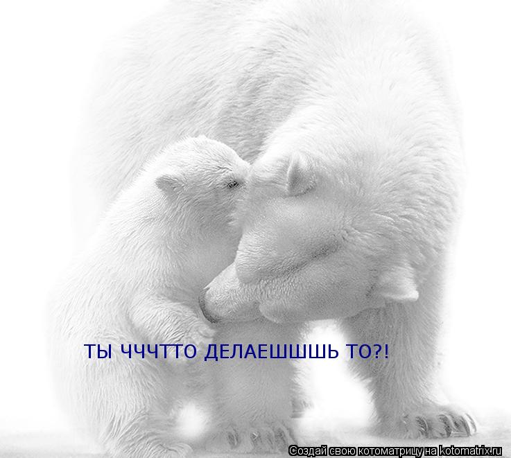 ТЫ ЧЧЧТТО ДЕЛАЕШШШЬ ТО?!... Котоматрица: ТЫ ЧЧЧТТО ДЕЛАЕШШШЬ ТО?!