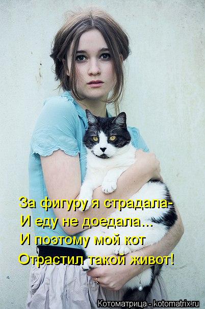 За фигуру я страдала- И еду не доедала... И поэтому мой кот Отрастил такой живот!... Котоматрица: За фигуру я страдала- И еду не доедала... И поэтому мой кот Отрастил такой живот!