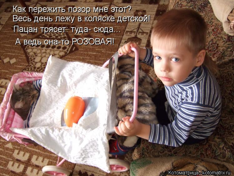 Как пережить позор мне этот? Весь день лежу в коляске детской! Пацан трясет: туда- сюда... А ведь она... Котоматрица: Как пережить позор мне этот? Весь день лежу в коляске детской! Пацан трясет: туда- сюда... А ведь она-то РОЗОВАЯ!