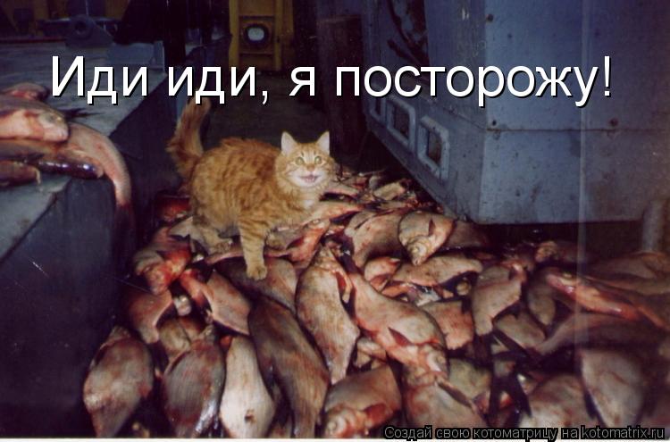Иди иди, я посторожу!... Котоматрица: Иди иди, я посторожу!