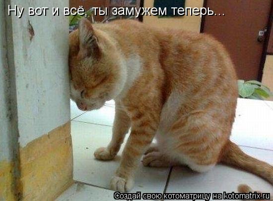 Ну вот и всё, ты замужем теперь...... Котоматрица: Ну вот и всё, ты замужем теперь...